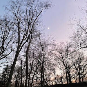 Meet your Posher, Holly